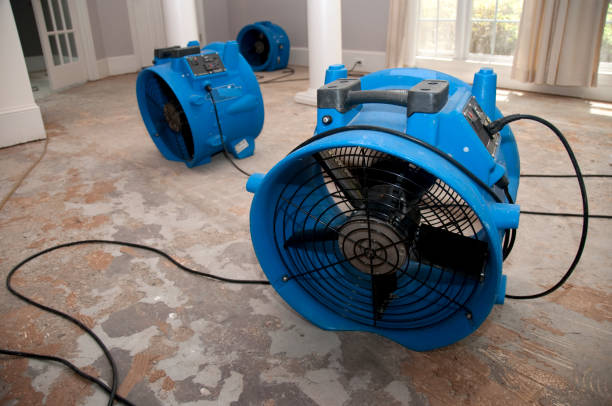  Muenster, TX Water damage restoration Pros