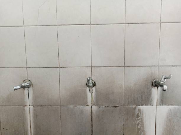 Water damage restoration mold remediation in Muenster, TX