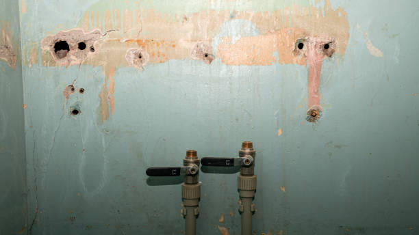 Best Professional water damage repair  in Muenster, TX