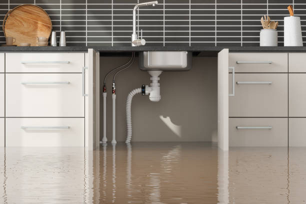Reliable Muenster, TX Water damage restoration Solutions